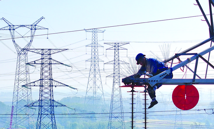 電網穿上“保護衣” 護鳥保電兩不誤